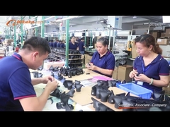 Company Introduction